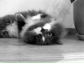 Мар'яна Міщенко фотография #25 (источник - https://vk.com/id21664935)