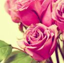 Юлія Ганжа фотография #25 (источник - https://vk.com/id168453202)