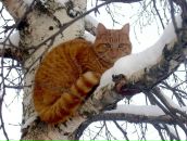 Фотография Никитиной Марины