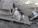 Сергій Попюк фотография #31 (источник - https://vk.com/id166284382)
