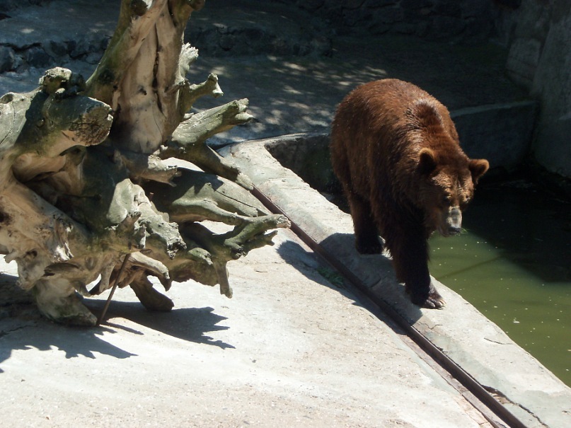 Катерина Латнер фотография #28