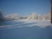 Міша Симонович фотография #29 (источник - https://vk.com/id112931560)