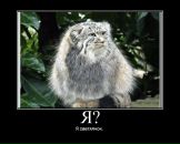 Андрій Кондрашов фотография #2 (источник - https://vk.com/id38311600)