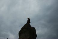 Им Cтранник фотография #12 (источник - https://vk.com/id3478688)