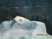 Фотография Золотаревой Юлии