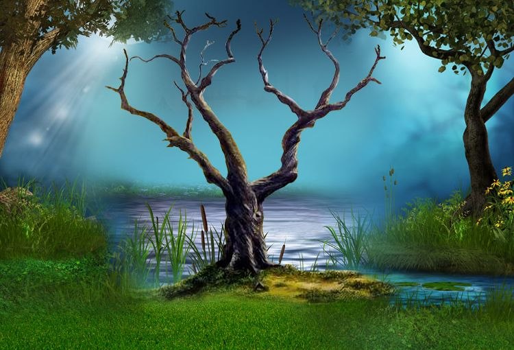 Ильяс Загидуллин фотография #40