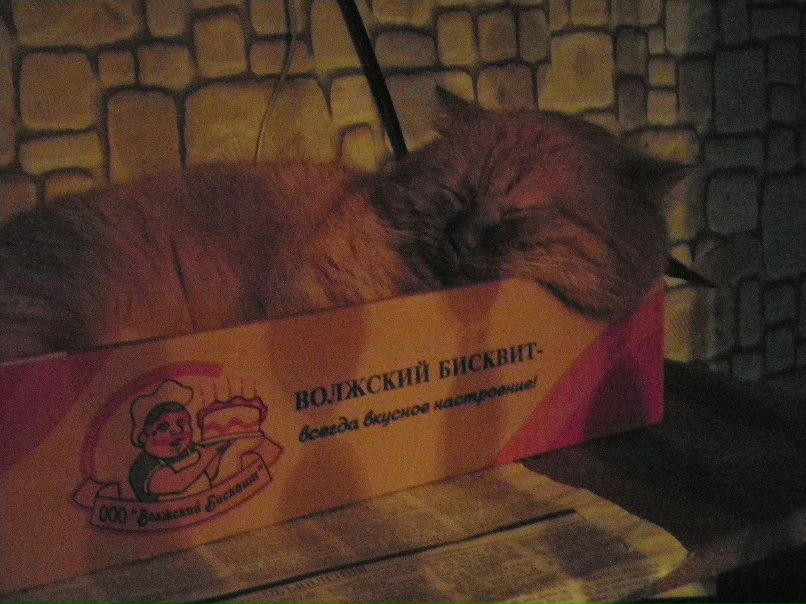 Дмитрий Спиридонов фотография #18