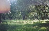 Дмтр Мксмв фотография #14 (источник - https://vk.com/id628801)