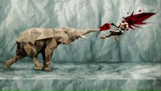 Фотография  