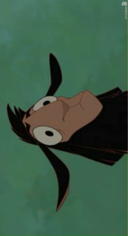 Zack Argunov фотография #23