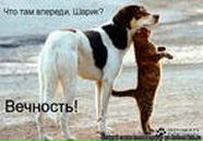 Фотография Павловой Юлии