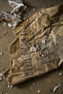 Дмитрий Леоненко фотография #41 (источник - https://vk.com/id7360077)