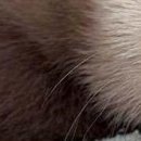 Вітя Лайщук фотография #23 (источник - https://vk.com/id134923699)