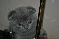 Фотография Руша Евгения