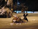 Фотография Ионовой Кати