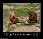 Фотография Ветрова Васи