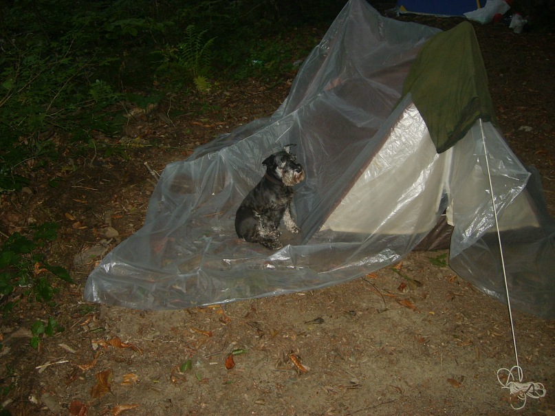 Андрей Душкин фотография #37