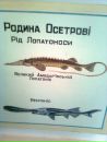 Віталік Пасєка фотография #18 (источник - https://vk.com/id63623114)
