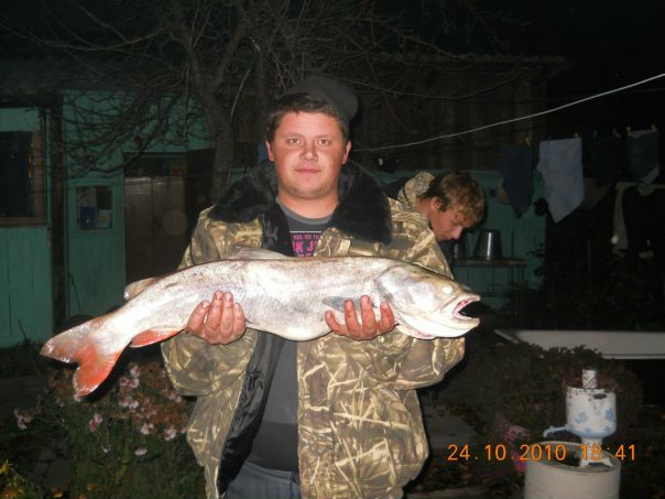 №5, Алексей Небусов, 41 год, Горно-Алтайск №5, Алексей Небусов, 41 год, Горно-Алтайск