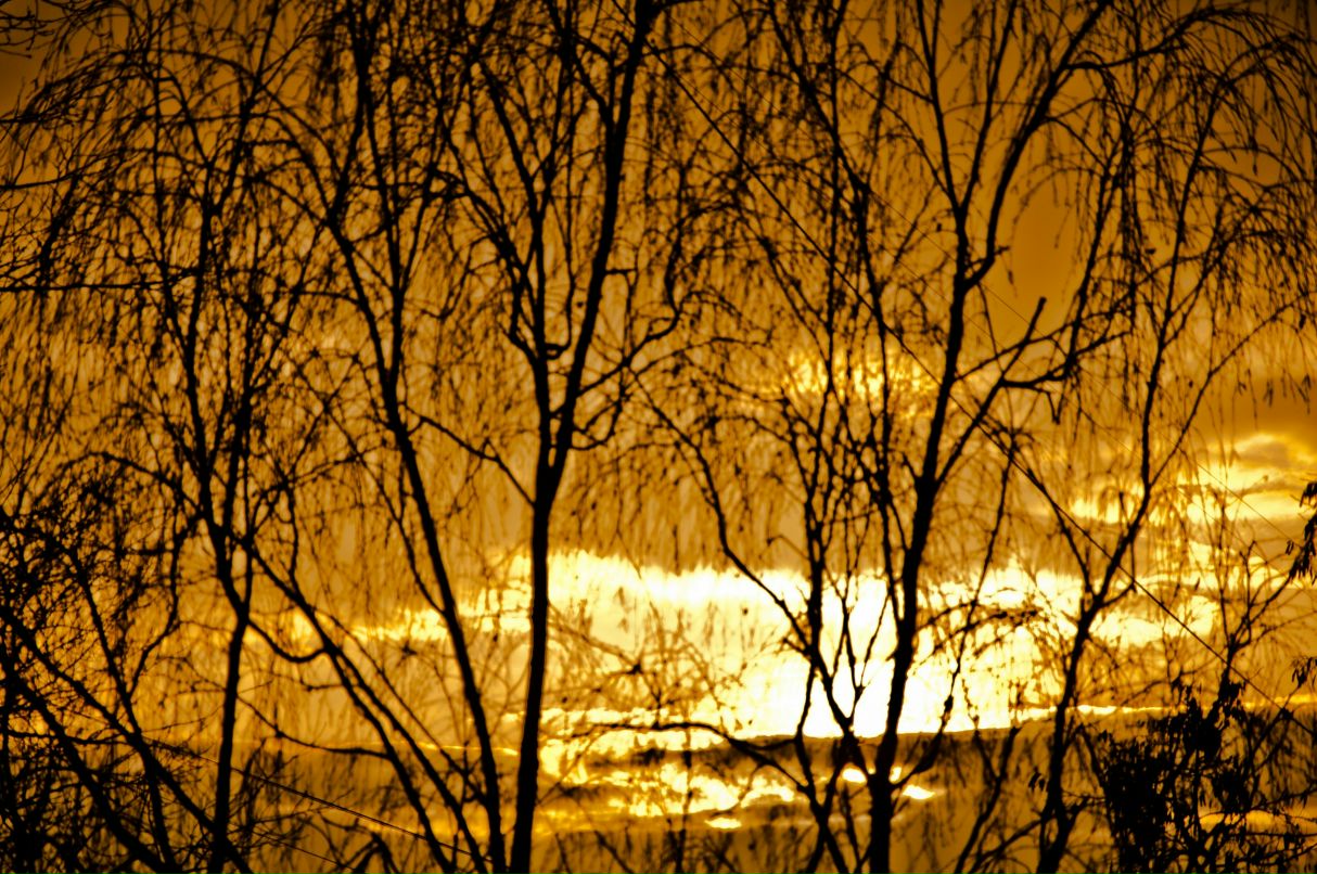 Артем Панченко фотография #8