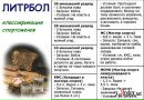 Вітя Шендерецький фотография #7 (источник - https://vk.com/id18587825)
