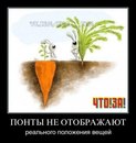 Андрий Хольвінський фотография #50 (источник - https://vk.com/id161964560)