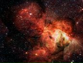 Фотография Адамии Инги