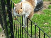 Далида Абдулаева фотография #26 (источник - https://vk.com/id673657)