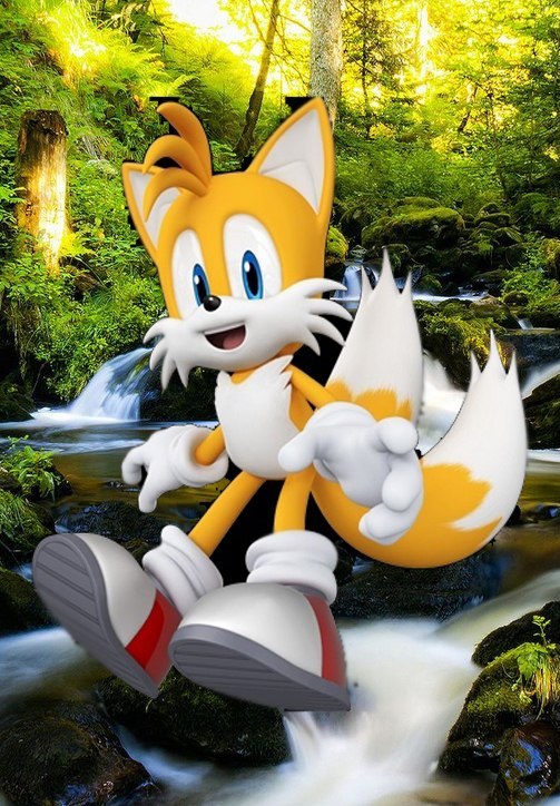 Sonic Hendgehog фотография #24