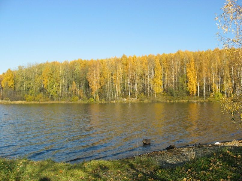 Виктор Косарев фото №7