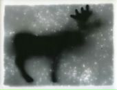 Фотография Черногривова Александра