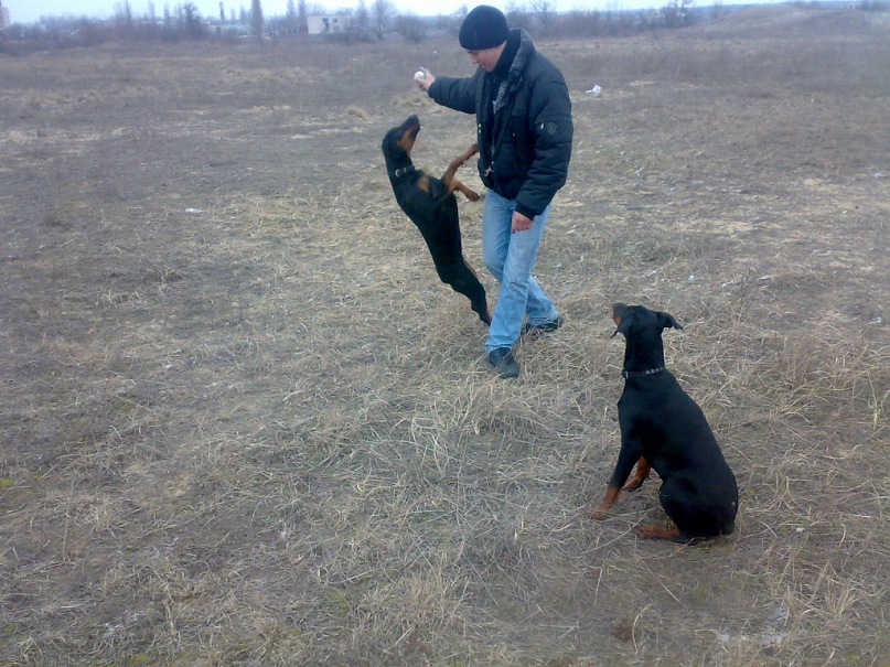 Тёмке Беляев фотография #12