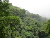 Дмитрий Гомон фотография #13 (источник - https://vk.com/id833603)