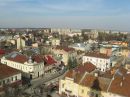 Міша Велит фотография #11 (источник - https://vk.com/id47884034)