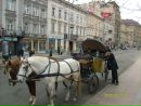 Ірина Мосій фотография #36 (источник - https://vk.com/id140695529)
