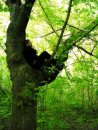 Денис Андросов фотография #35 (источник - https://vk.com/id5024893)