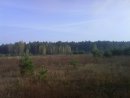 Віталій Костюченко фотография #40 (источник - https://vk.com/id19033675)