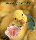 Кіра Товмаш фотография #13 (источник - https://vk.com/id45985525)