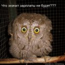 Іванка Чикачова фотография #7 (источник - https://vk.com/id10642637)