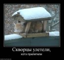 Алексей Антоненко фотография #31 (источник - https://vk.com/id11280778)