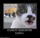 _HeLl KiLl_eM_aLl фотография #40 (источник - https://vk.com/id59388431)
