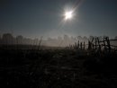 Ірина Чоловічок фотография #39 (источник - https://vk.com/id16139869)
