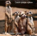 Сергій Волянський фотография #39 (источник - https://vk.com/id15282556)