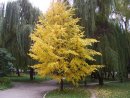 Сергій Шалагай фотография #33 (источник - https://vk.com/id11538784)