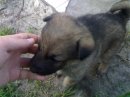 Андрій Юзва фотография #7 (источник - https://vk.com/id17212872)