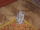Сергій Вдовцов фотография #44 (источник - https://vk.com/id22286229)