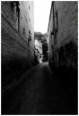 Виталий Ткач фотография #9 (источник - https://vk.com/id230984)