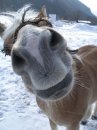 Станислав Андреевич фотография #26 (источник - https://vk.com/id346531)