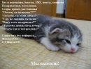 Віталіна Орищенко фотография #3 (источник - https://vk.com/id8299306)