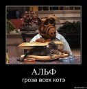 Андрій Піхурко фотография #12 (источник - https://vk.com/id16113506)